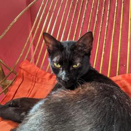 Gilberto do Santo Expedito