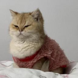 雪乐单品3.23-3.25彩虹夫妇