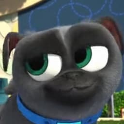 Bingo (Puppy Dog Pals)