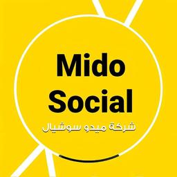 علاء ماهر أبو عطيه 