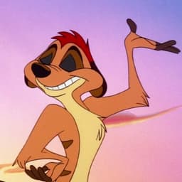 Timon (Quinton Flynn)