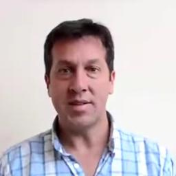 Rojas 2 - Covid Edition