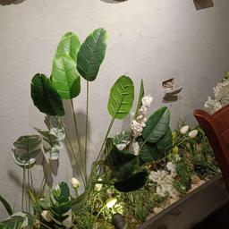 انا اسمي مهاب زرعه