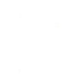 homem- 20anos - fala rapida