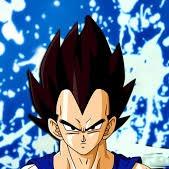 فيجيتا عربي