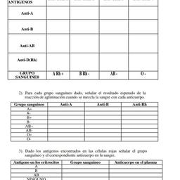 Marlene Mariel Cuevas Hernández