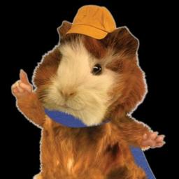 Linny The Guinea Pig (Wonder Pets, UK)