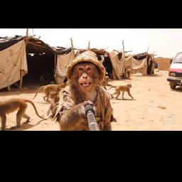 صوت شاب يمني