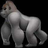 苹果软糖-男【西班牙语】