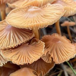 dfbdfhgdzhgdhdzhdzhdzghdzghdghfhgzdghdzghd