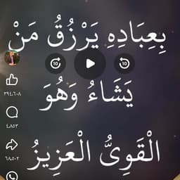 هيفاء وهبي 