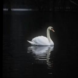 توماس شيلبي