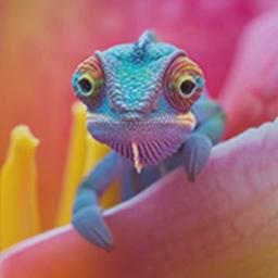 advertisement specialist