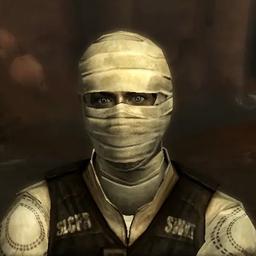 Joshua Graham (Fallout: New Vegas)