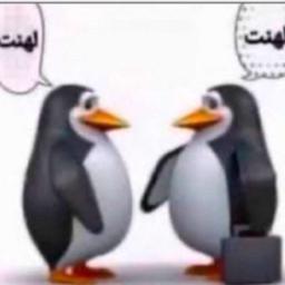 بابا