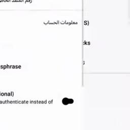 محمد ابن الحجي