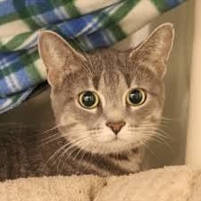 workingmama40（Jessica Rae）