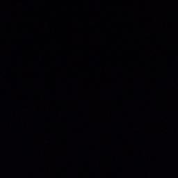 الدب الذهبي