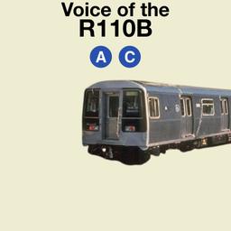 R110B Train Voice A/C train