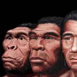 la historia del ser humano en el planeta