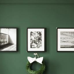 Stella思维46243119752