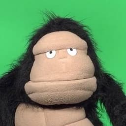 Glove and boots gorilla meh