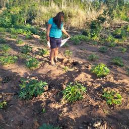 La Iglesia Pentecostal 