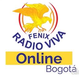 LOCUTOR RADIO VIVA FENIX