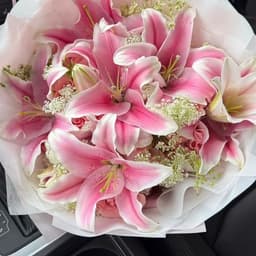 هادئ حنون مشاعر مؤثر 