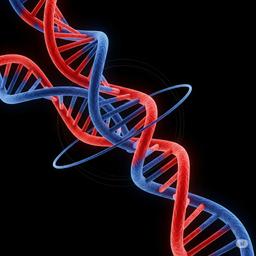 Voz Homem Meia Idade 