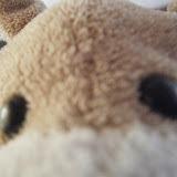 bpablo 1829 La Voz Tutorial Hacer Intros