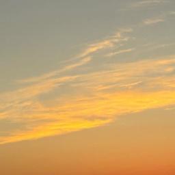 الصوت الخيالي النادر