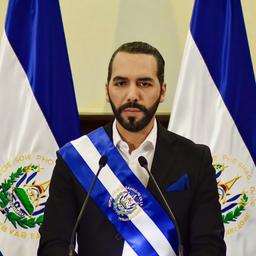 JORNALISTA NOVO BRASILEIRO