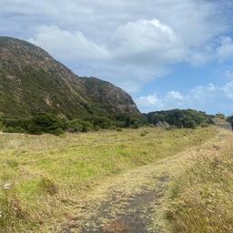 Little girl speak english