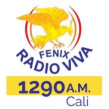 RADIO VIVA CALI 1290 AM MASCULINA