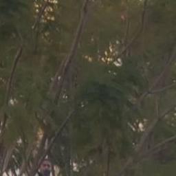 صوت بنت سورية شابة 4