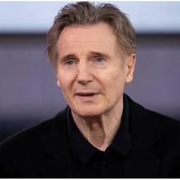 liam neeson voice 