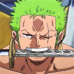 Zoro Ronoroa