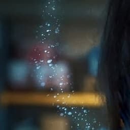 انسجام الغراوي 