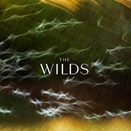 Asaad (Whitewill Tone)