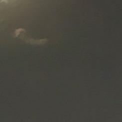 قائد الجميلي 