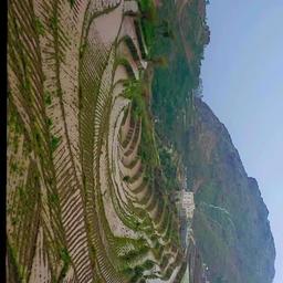 الشاعر أحمد الديلمي 