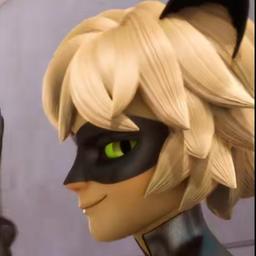 القط الاسود 