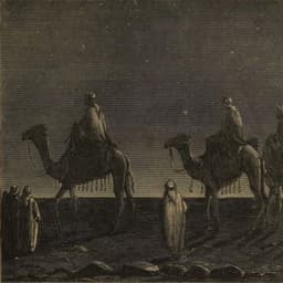 حيدر العلوي