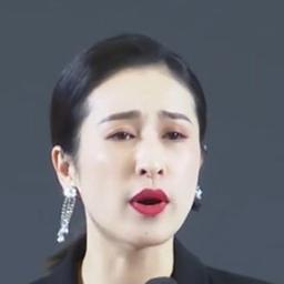 刘敏涛钻石链条耳饰女强人演讲