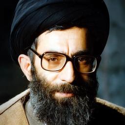 السيد القائد
