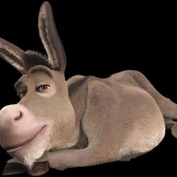 Burro Shrek 