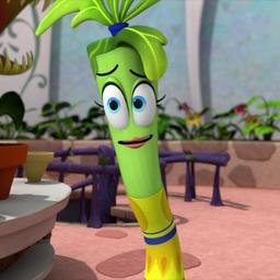 Tina's celerina 2015 2017