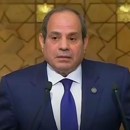 السيسي منفعل