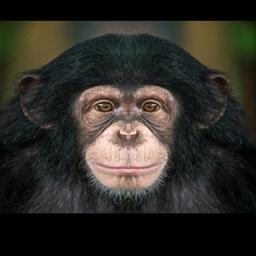 jams local adventures